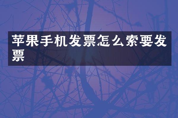 苹果手机发票怎么索要发票