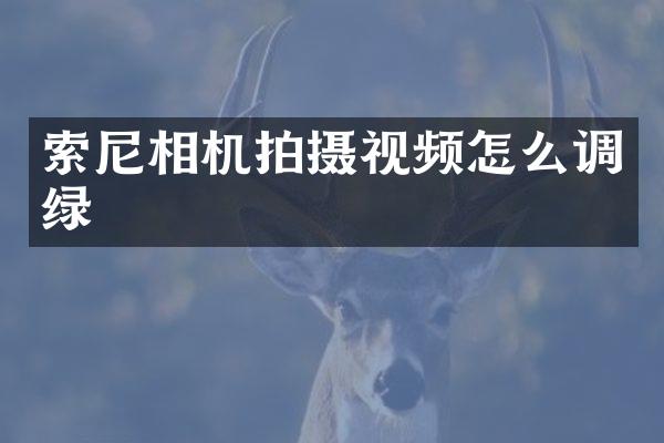 相机拍摄视频怎么调绿