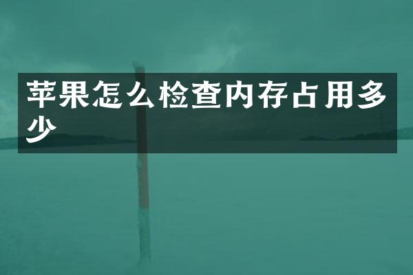 苹果怎么检查内存占用多少
