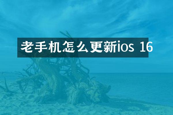老手机怎么更新ios 16