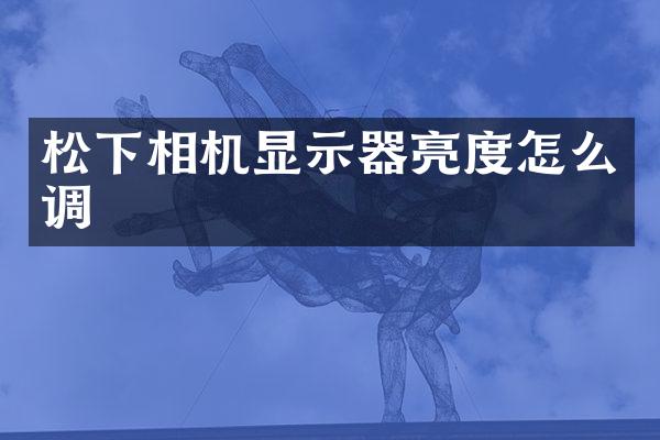 相机显示器亮度怎么调