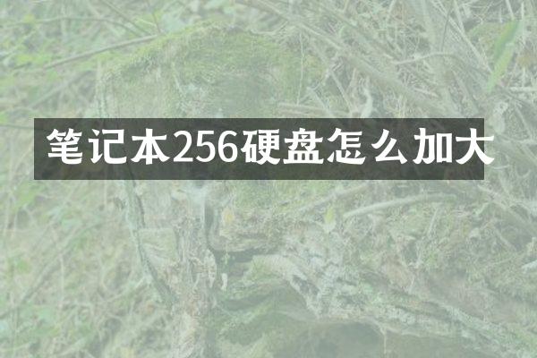 笔记本256硬盘怎么加大