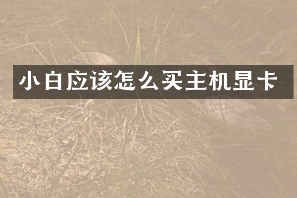 小白应该怎么买主机显卡