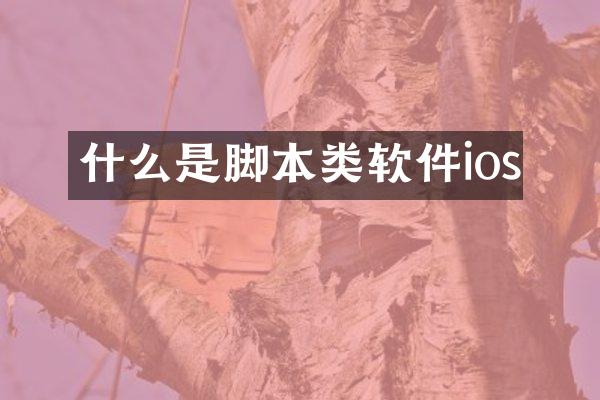 什么是脚本类软件ios