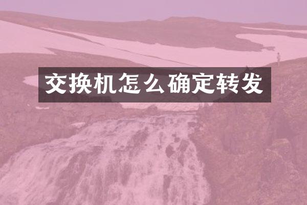 交换机怎么确定转发