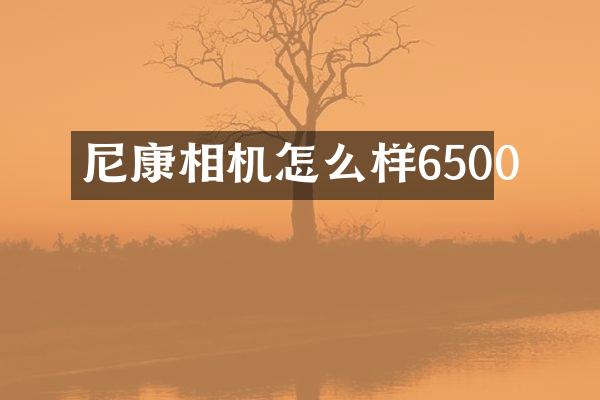尼康相机怎么样6500
