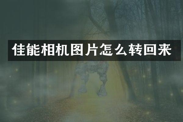 佳能相机图片怎么转回来