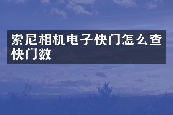 相机电子快门怎么查快门数