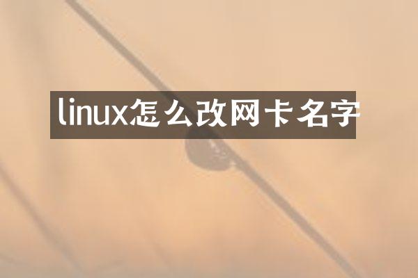 linux怎么改网卡名字