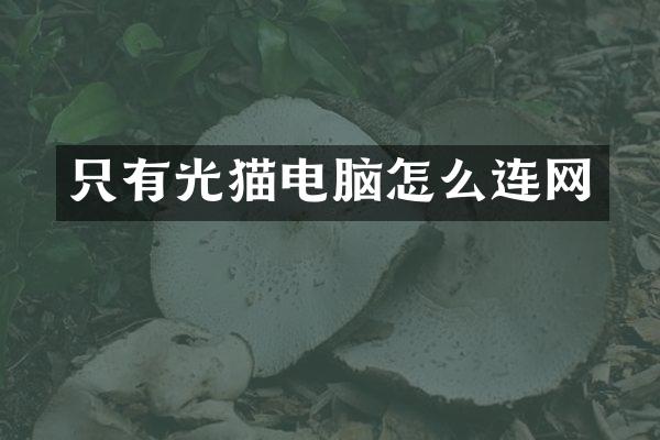 只有光猫电脑怎么连网
