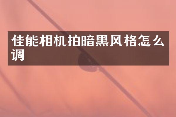 佳能相机拍暗黑风格怎么调