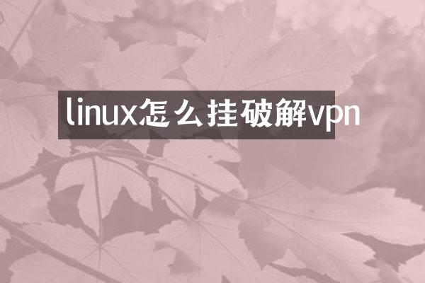 linux怎么挂破解vpn