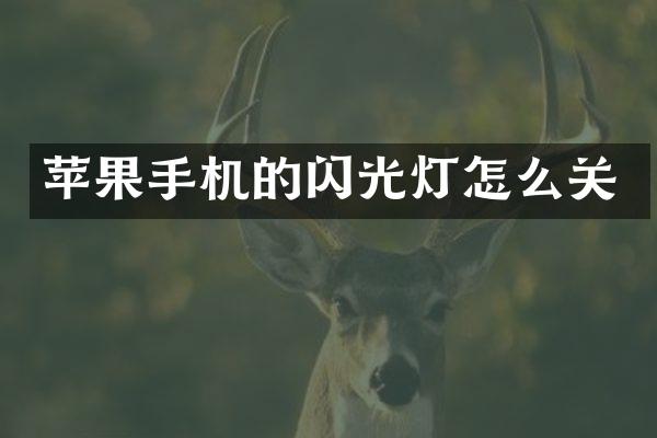 苹果手机的闪光灯怎么关