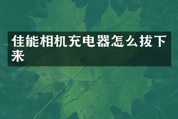 佳能相机充电器怎么拔下来
