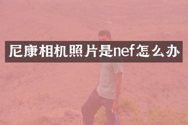 尼康相机照片是nef怎么办