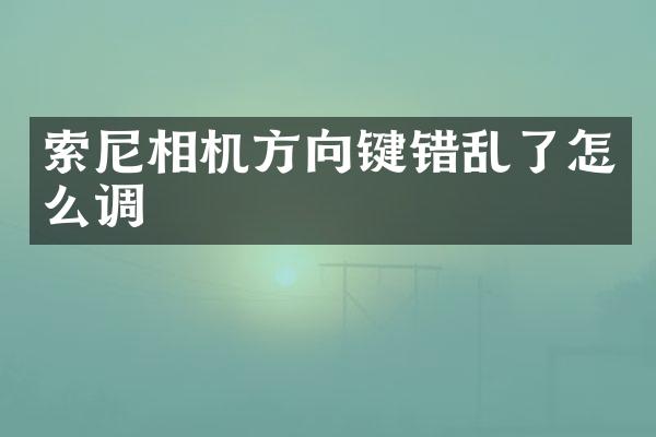 相机方向键错乱了怎么调