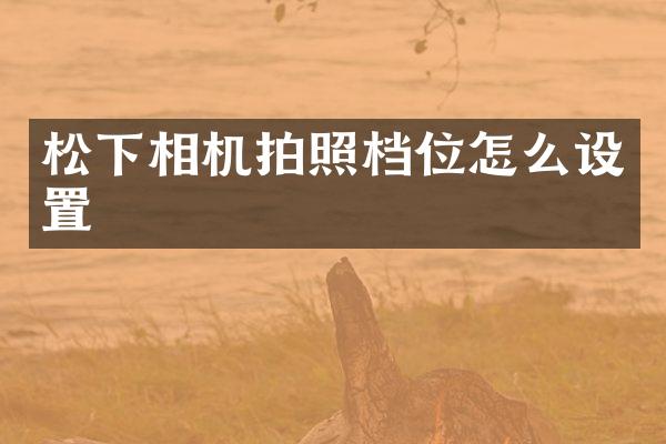 相机拍照档位怎么设置