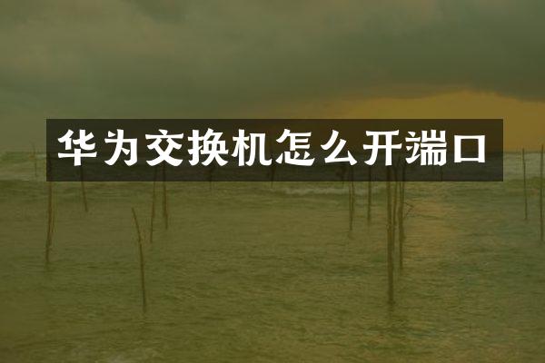 华为交换机怎么开端口