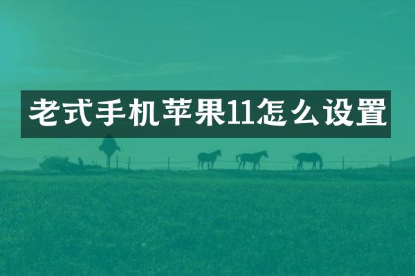 老式手机苹果11怎么设置