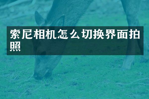 相机怎么切换界面拍照