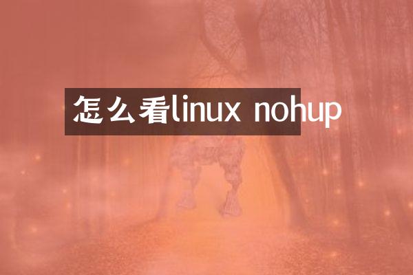怎么看linux nohup