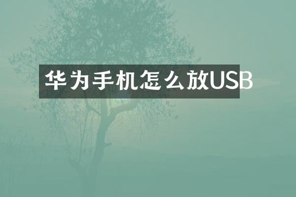 华为手机怎么放USB