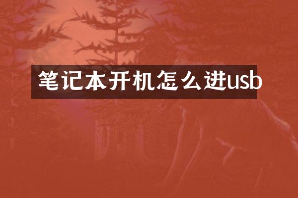 笔记本开机怎么进usb