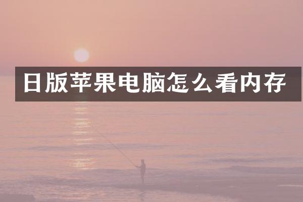 日版苹果电脑怎么看内存