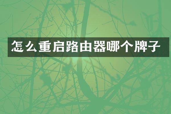 怎么重启路由器哪个牌子