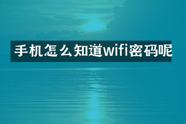 手机怎么知道wifi密码呢