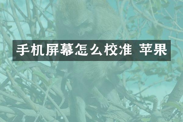 手机屏幕怎么校准 苹果