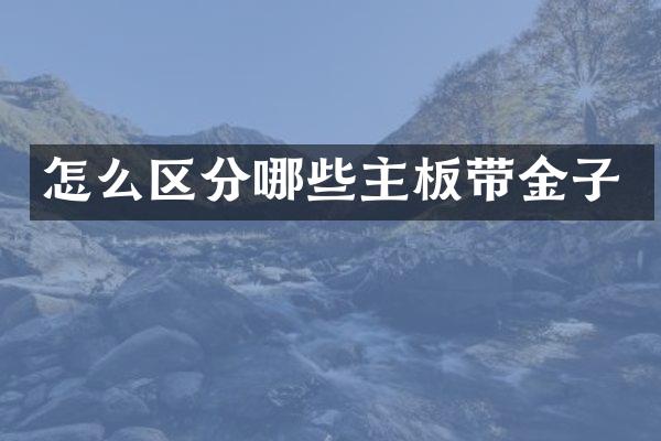 怎么区分哪些主板带金子