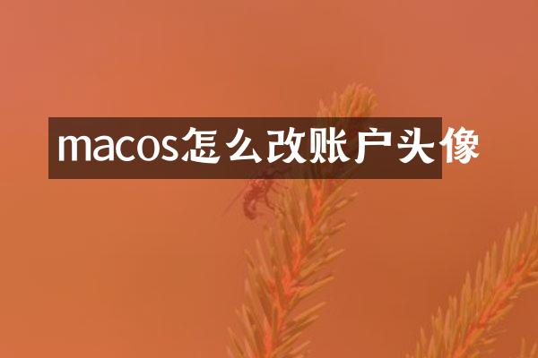 macos怎么改账户头像