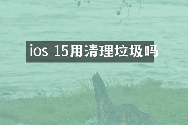 ios 15用清理垃圾吗