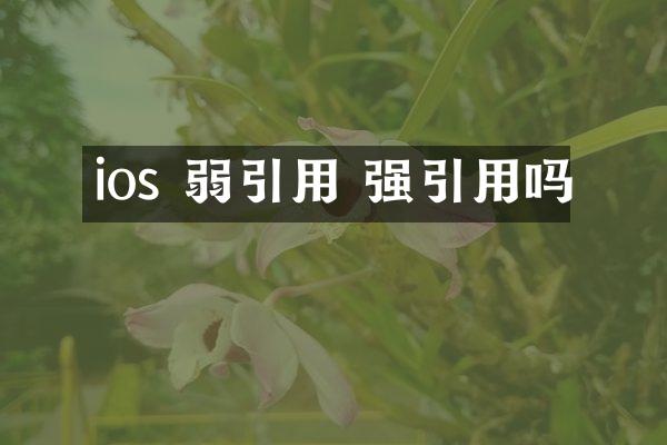ios 弱引用 强引用吗