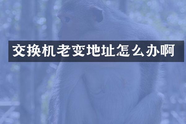 交换机老变地址怎么办啊