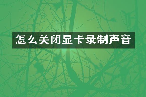 怎么关闭显卡录制声音