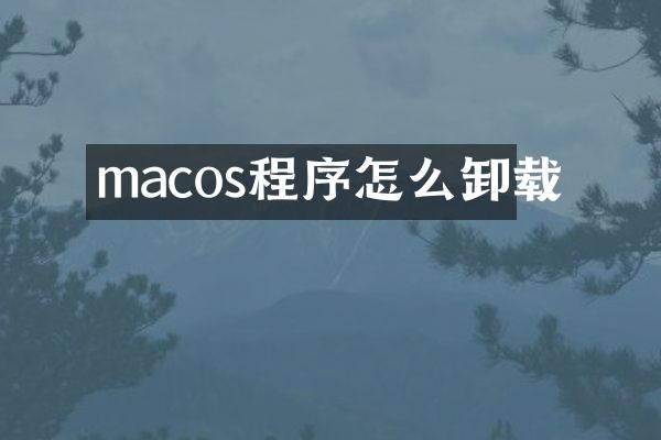 macos程序怎么卸载