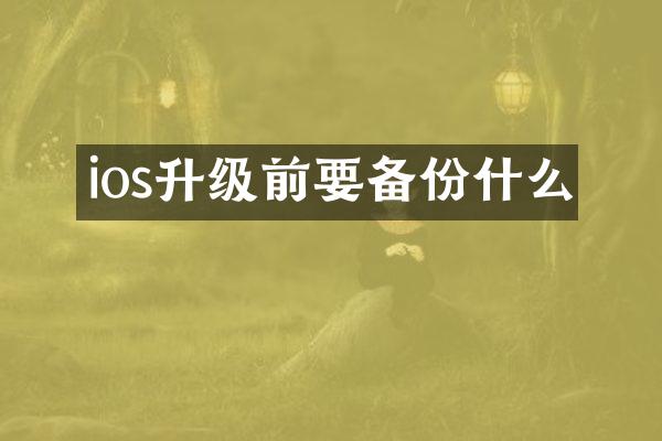 ios升级前要备份什么