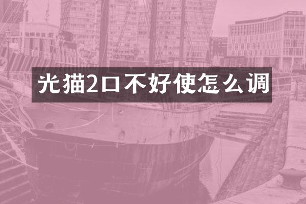 光猫2口不好使怎么调