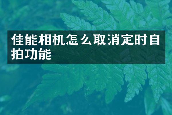 佳能相机怎么取消定时功能