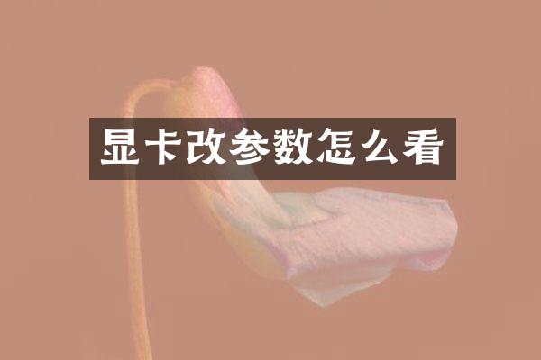 显卡改参数怎么看