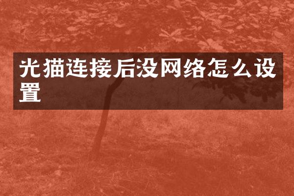 光猫连接后没网络怎么设置