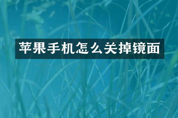 苹果手机怎么关掉镜面