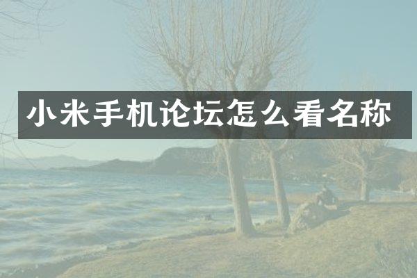 小米手机论坛怎么看名称