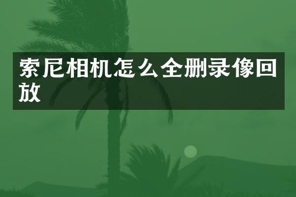 相机怎么全删录像回放