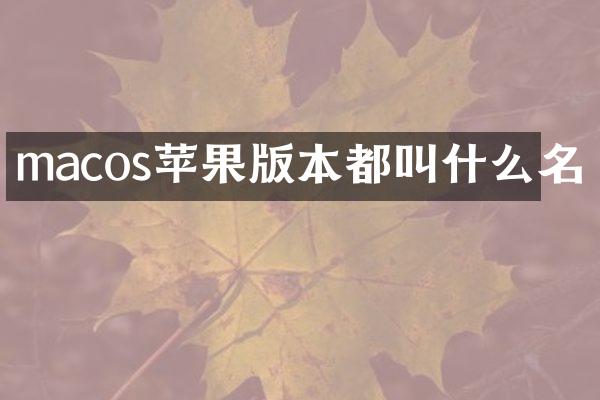 macos苹果版本都叫什么名