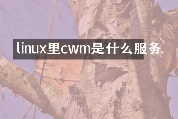 linux里cwm是什么服务