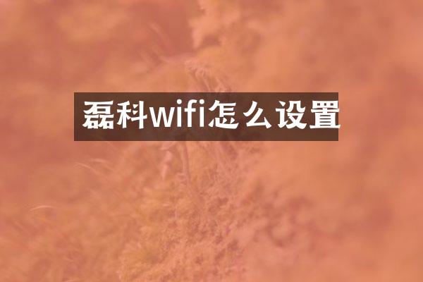 磊科wifi怎么设置