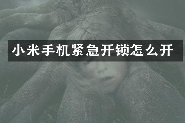 小米手机紧急开锁怎么开